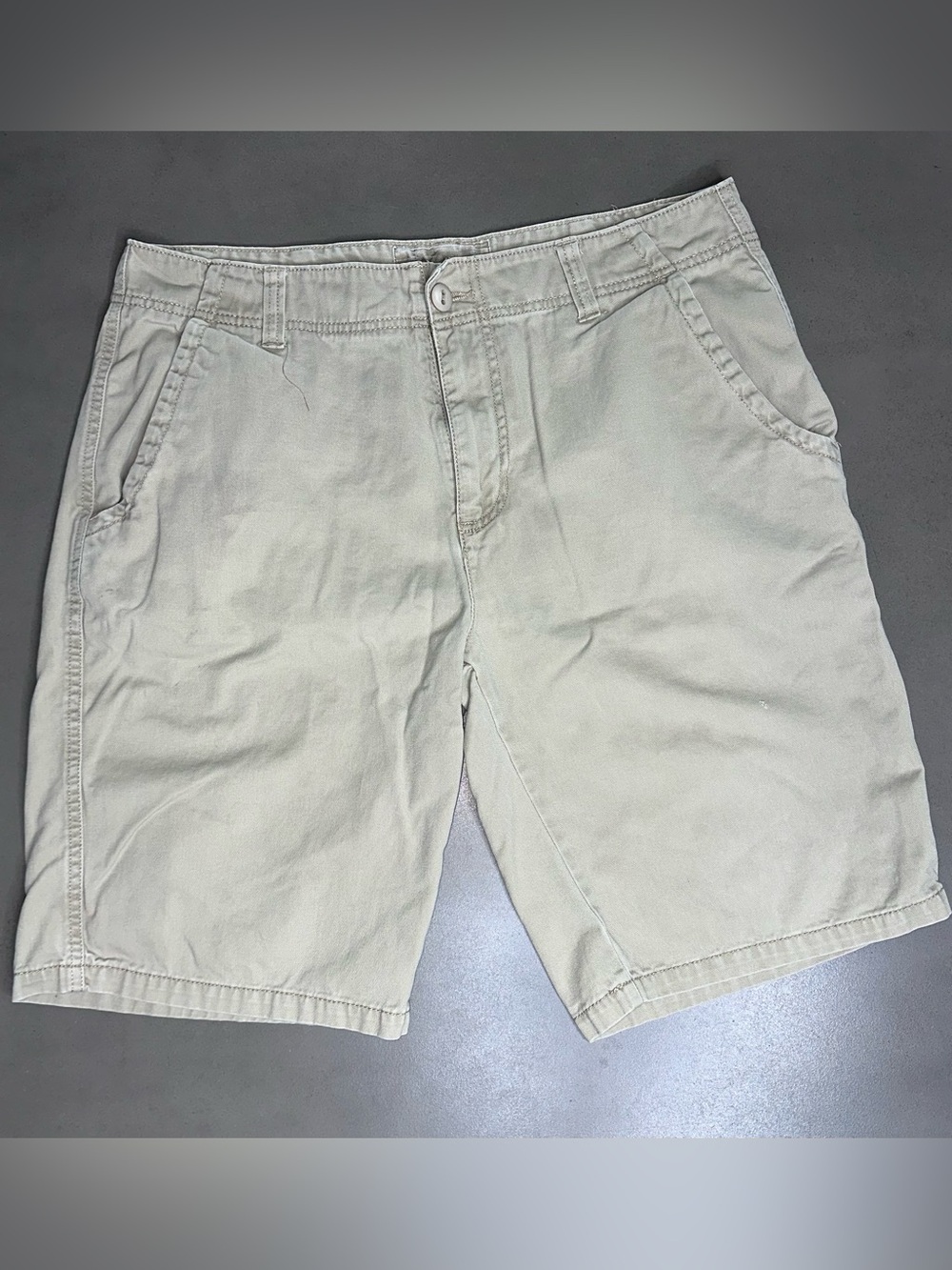 Plugg Flat Front Khaki Men’s Shorts Size 34